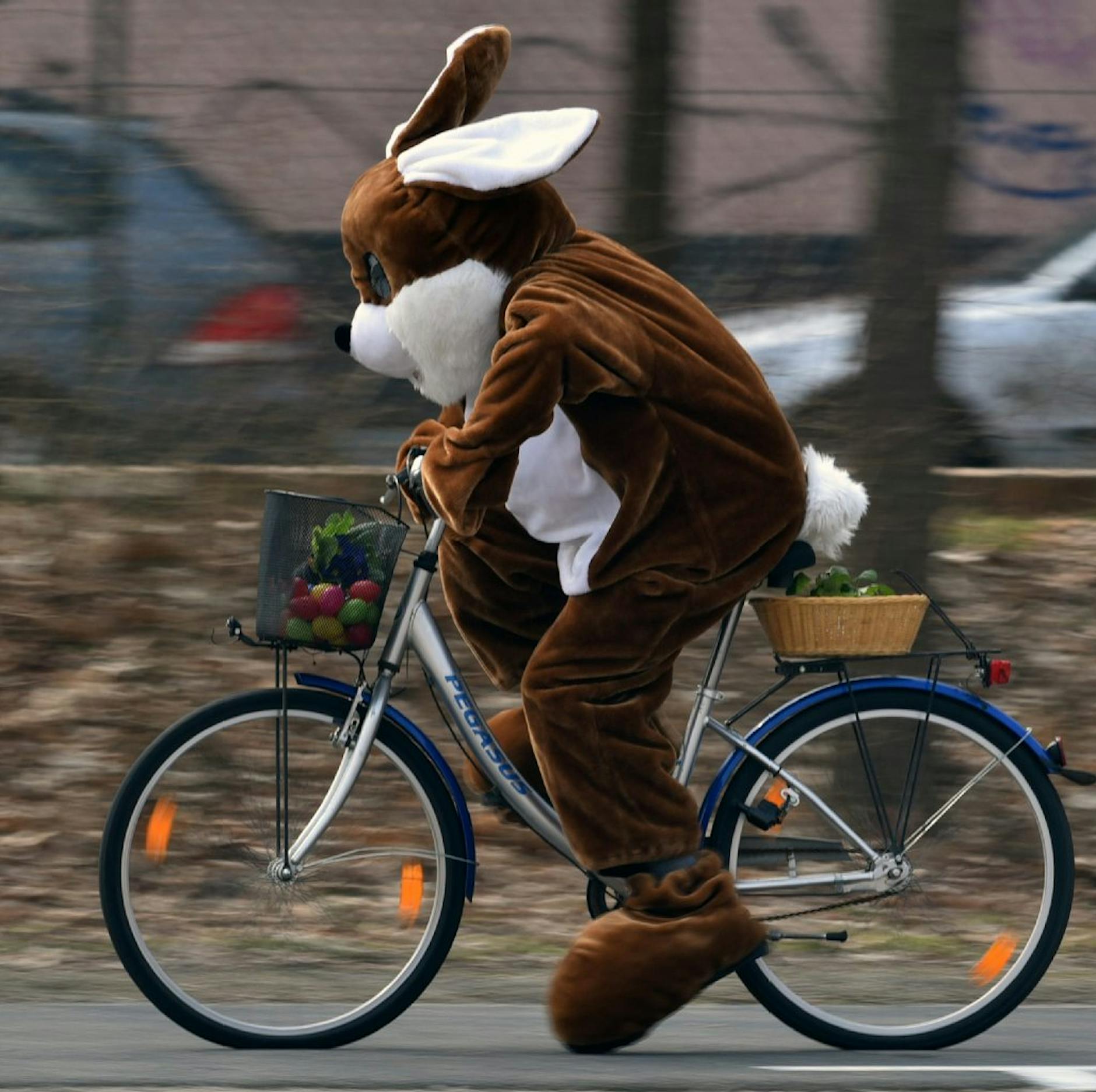 Der Mythos erklärt: Wie Ostern auf den Hasen kam