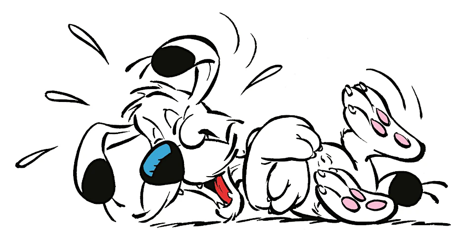 Idefix hat auch an seinem 50. Geburtstag viel Spaß.