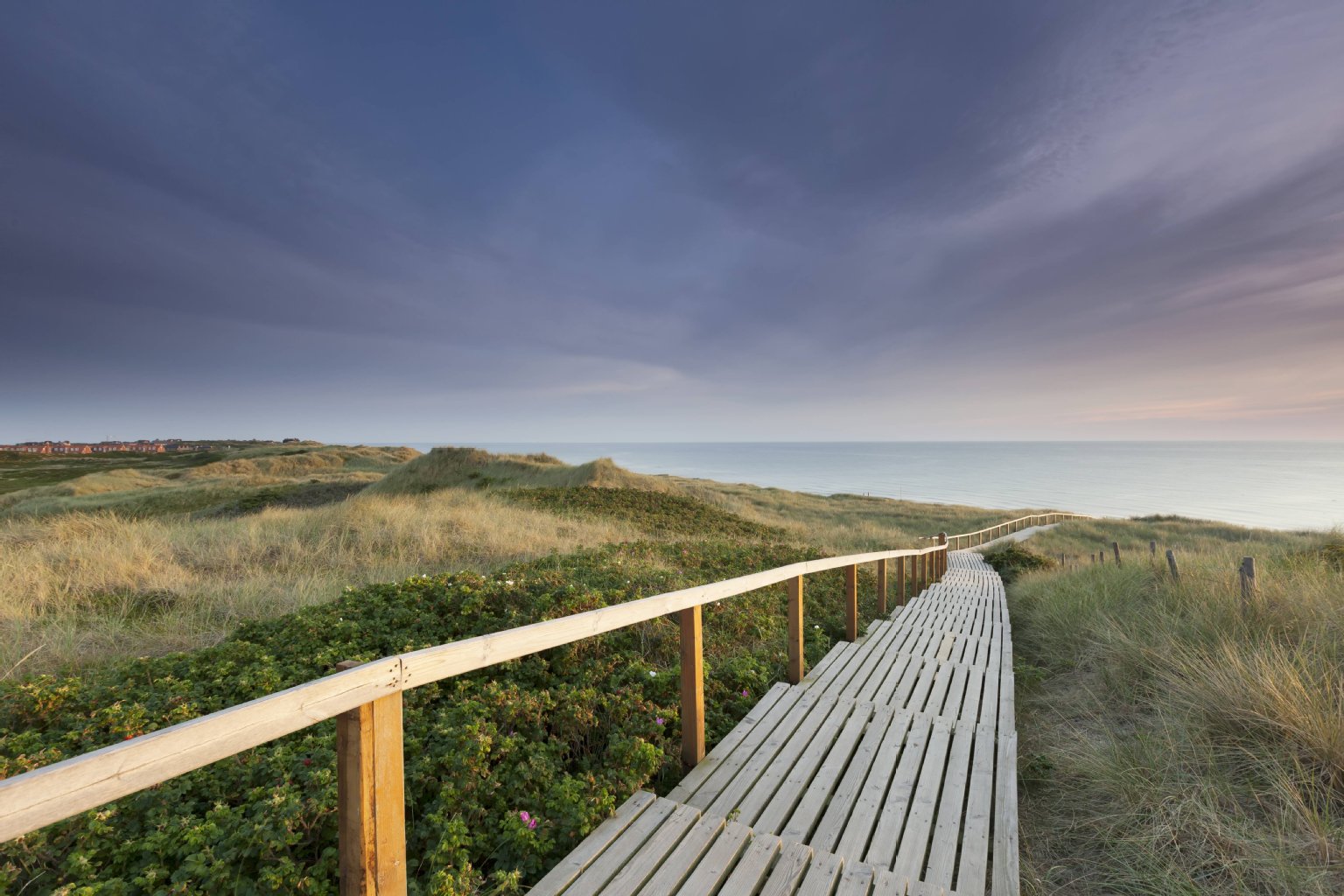 Image - Horror-Fund bei Westerland: Nackte Leiche auf Sylt gestrandet