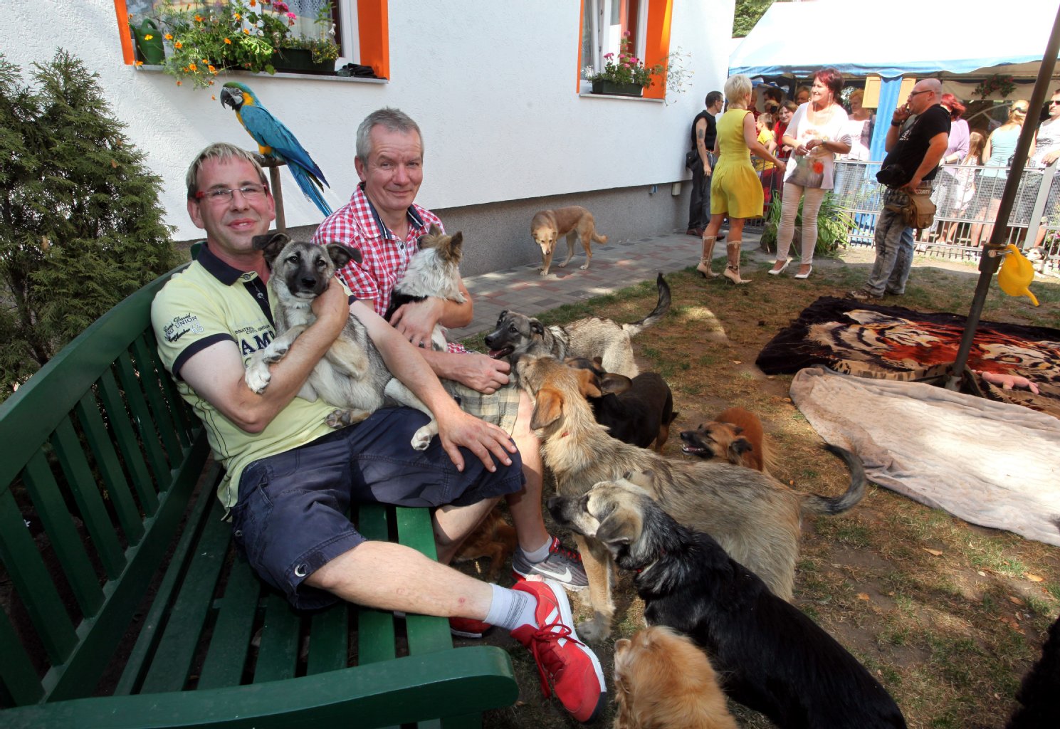 Dirk Bufé (li.) und Hartmut Benter mit den ehemaligen Todeskandidaten aus Rumänien. Fünf von insgesamt zehn Hunden wurden jetzt vermittelt.