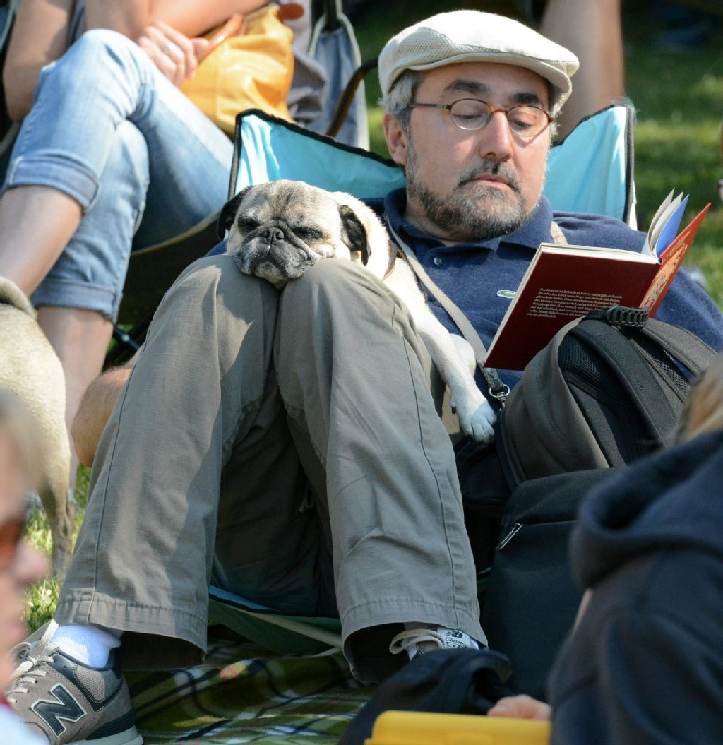 Denis (52) entspannte sich mit einem guten Buch – und Möpsin Isolde