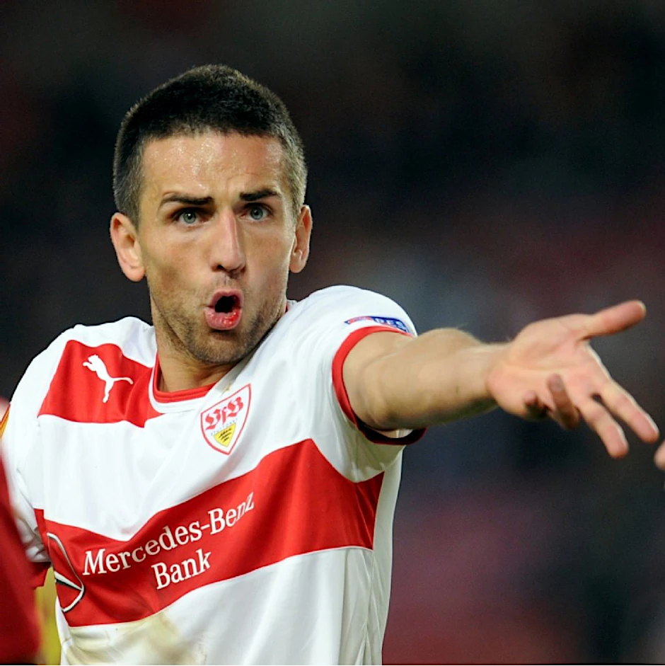 Vedad Ibisevic