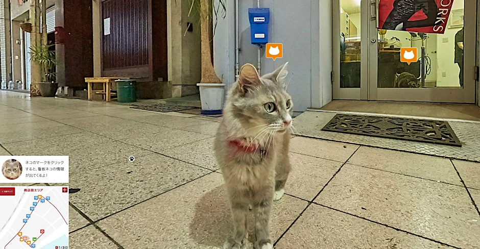 Die Welt aus der Sicht einer Katze: Dank Hiroshima Cat Street View ist das möglich. Die gelben Symbole stehen für andere Katzen in der Nähe.