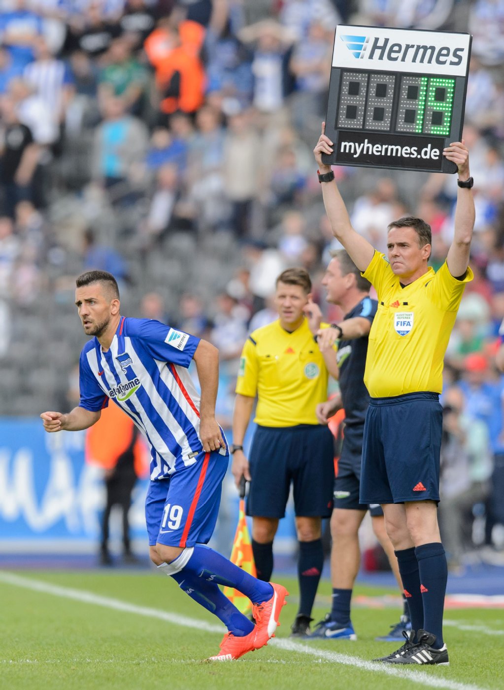 Vedad Ibisevic