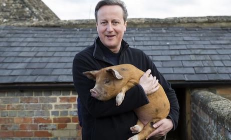 Image - Sexskandal #PigGate : Schweinische Gerüchte um Briten-Premier David Cameron