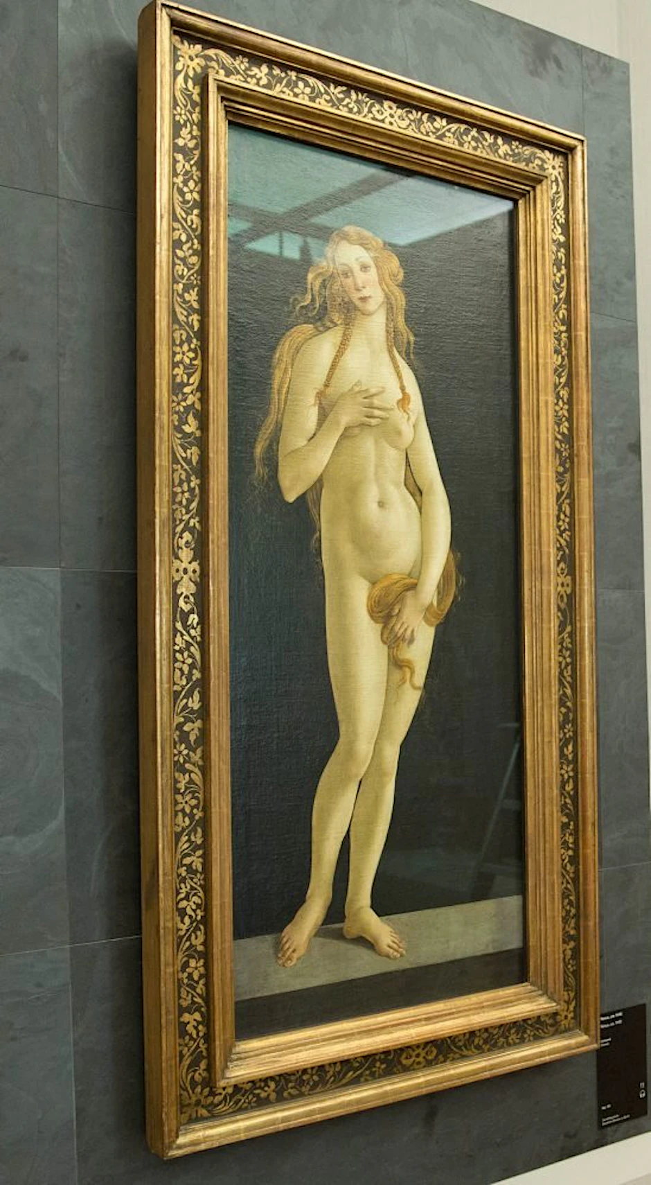 Botticellis Gemälde "Venus"