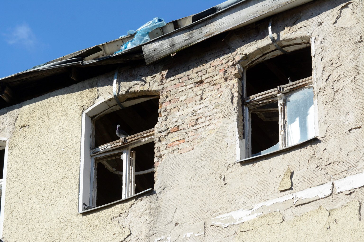 Tauben haben sich bereits im Dachgeschoss eingenistet und ausgebreitet.