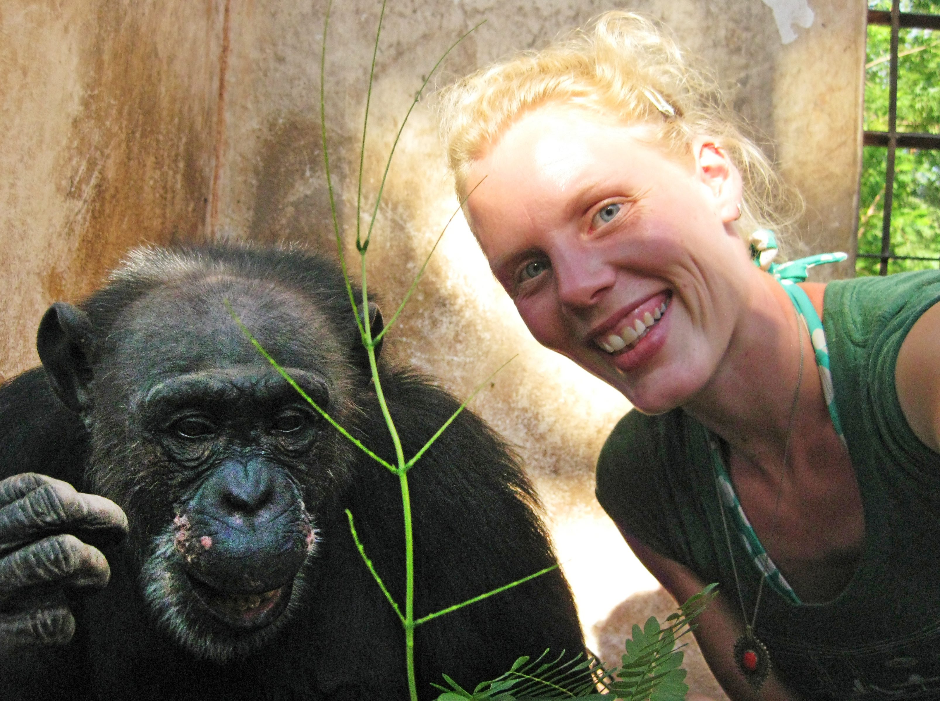 Image - Ein Herz für Lolita! : Berliner Tierärztin rettet gequälte Schimpansin