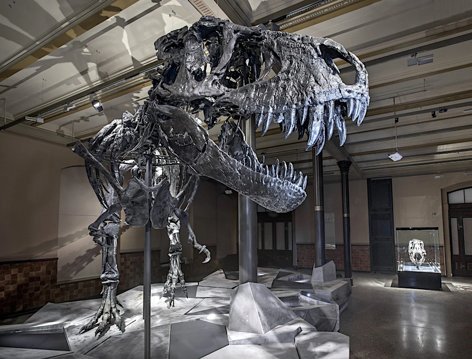 Imposante Kreatur: T. Rex Tristan Otto