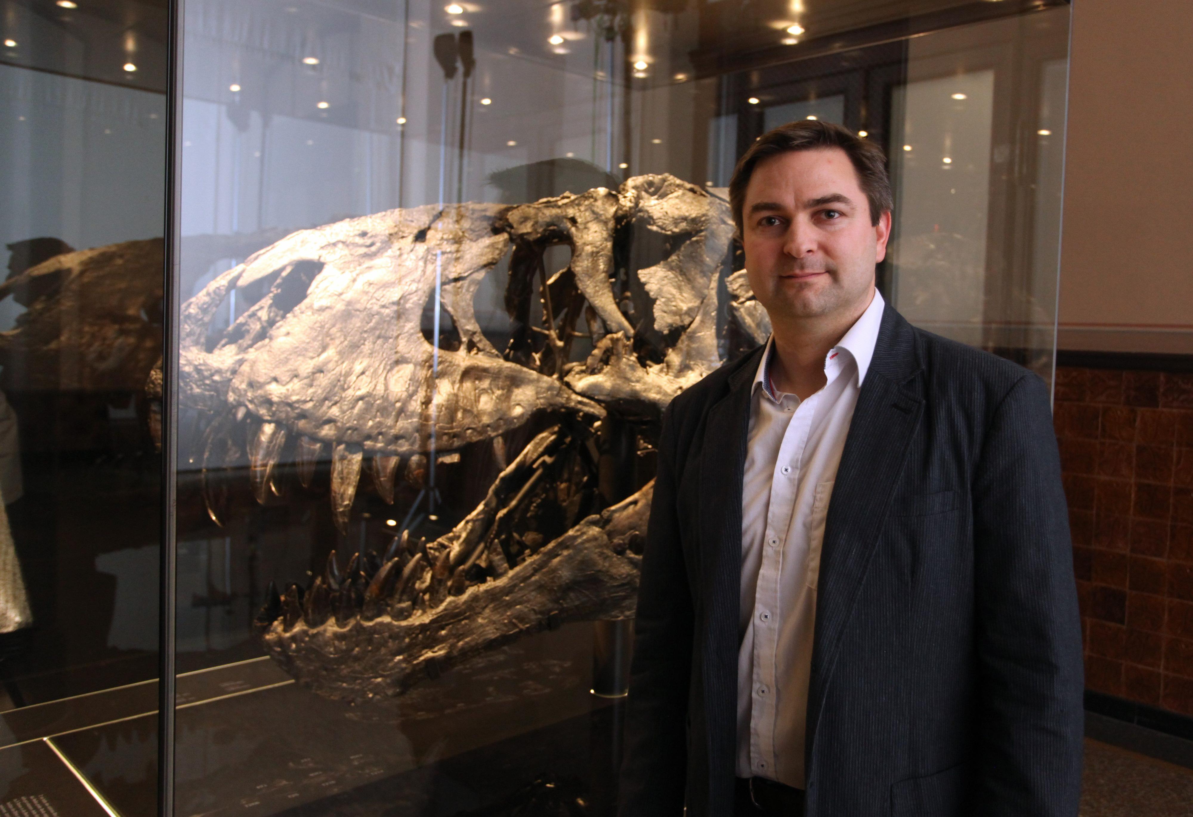 Dr. Heinrich Mallison zeigt im Naturkundemuseum den Originalkopf von Tristan-Otto. 