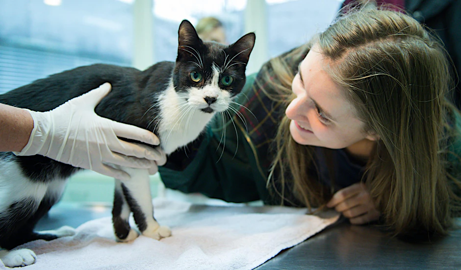 Kater Miko zurück bei seiner glücklichen Besitzerin Elena (18).