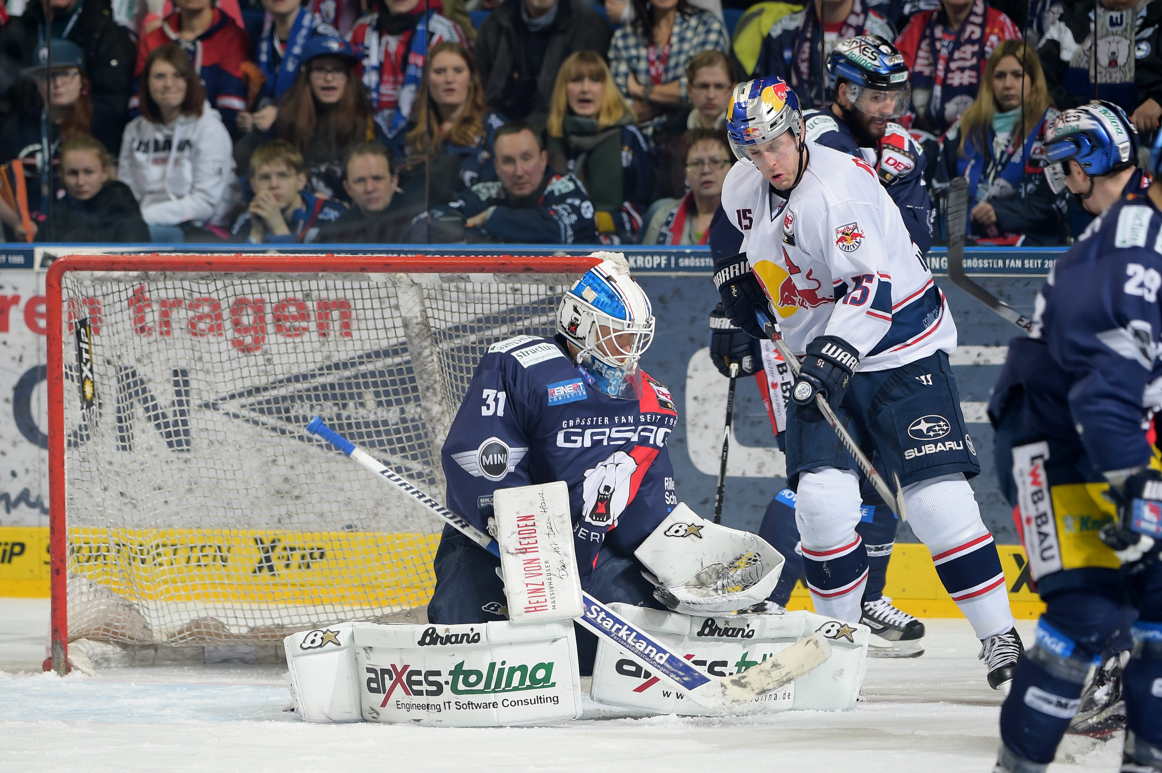 Image - Eisbären: Gebrauchter Tag, Spitze ist futsch