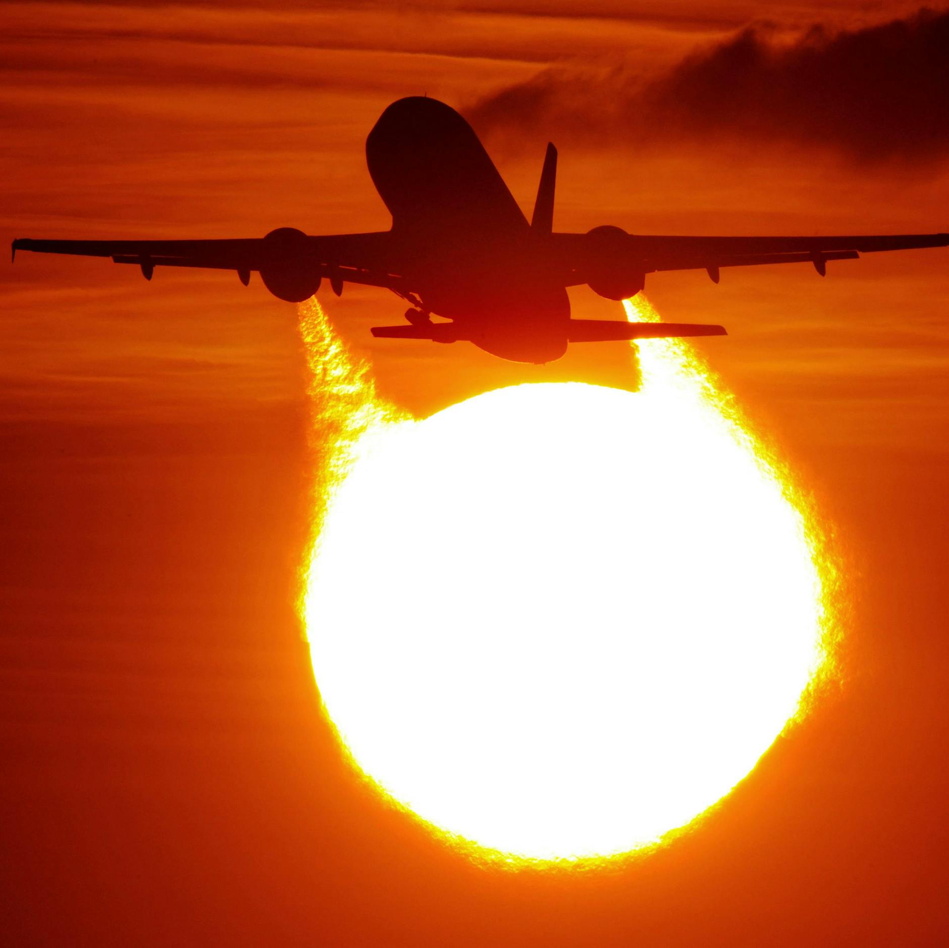 Air Berlin: Phönix ohne Asche