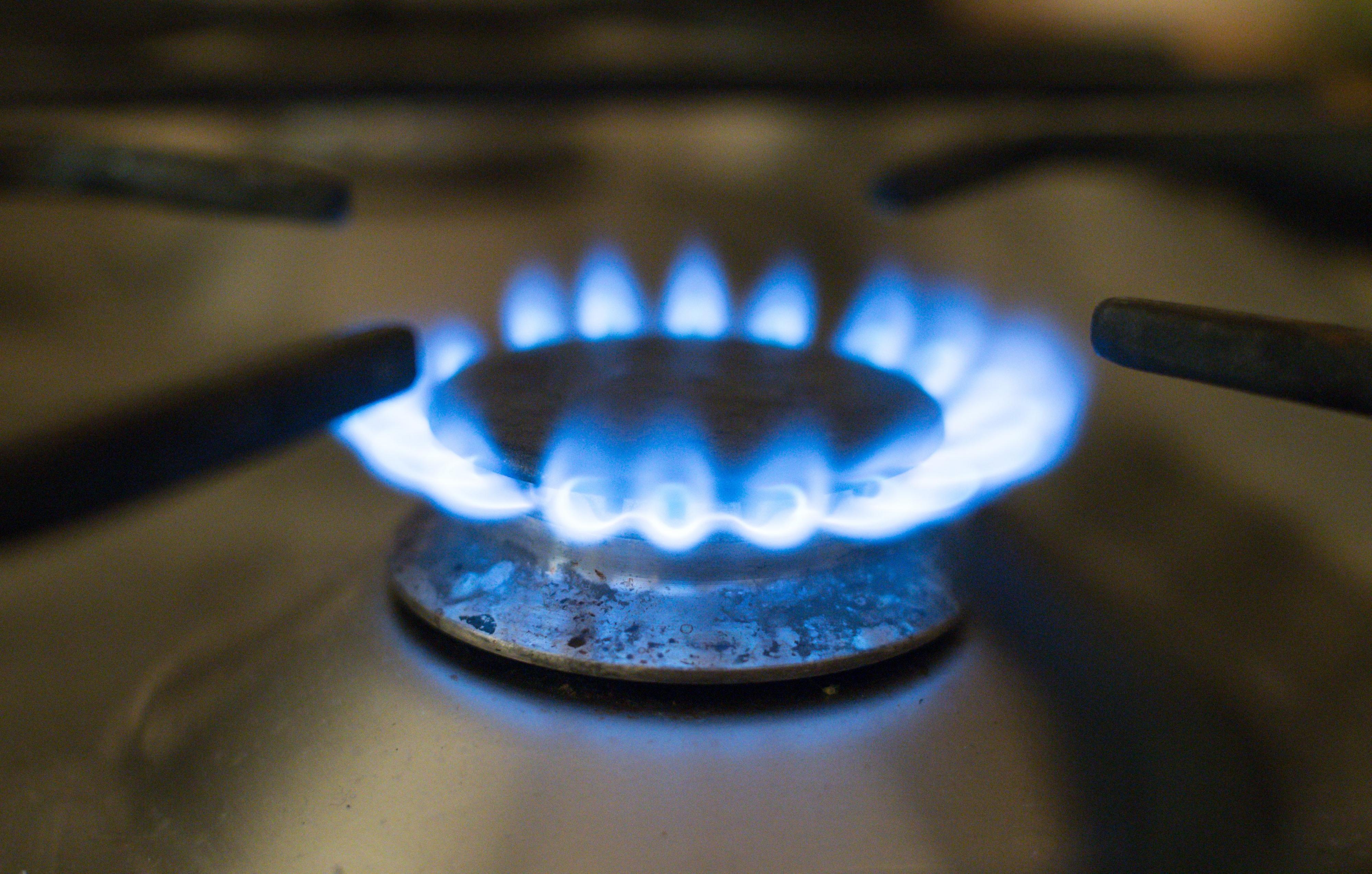 Image - Gasag verklagt: Land Berlin fordert über 100 Millionen Euro