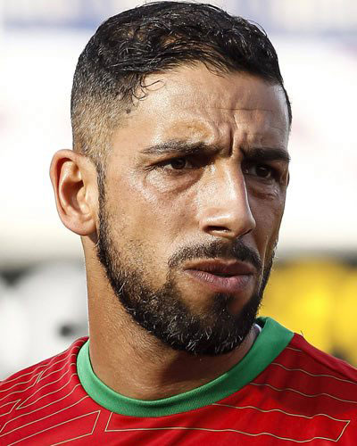 Image - Suff-Fahrt: Polizei stoppt Ex-Herthaner Ashkan Dejagah