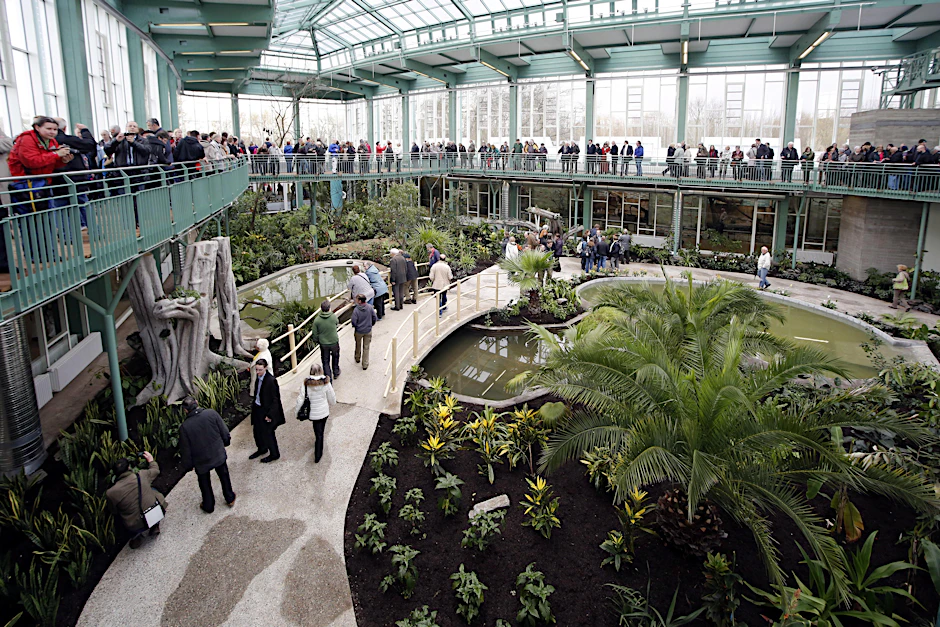 Die Tropenhalle im Alfred-Brehm-Haus. So sah sie 2014 nach dem Umbau unter dem damaligen Tierparkchef  Bernhard Blaszkiewitz aus.