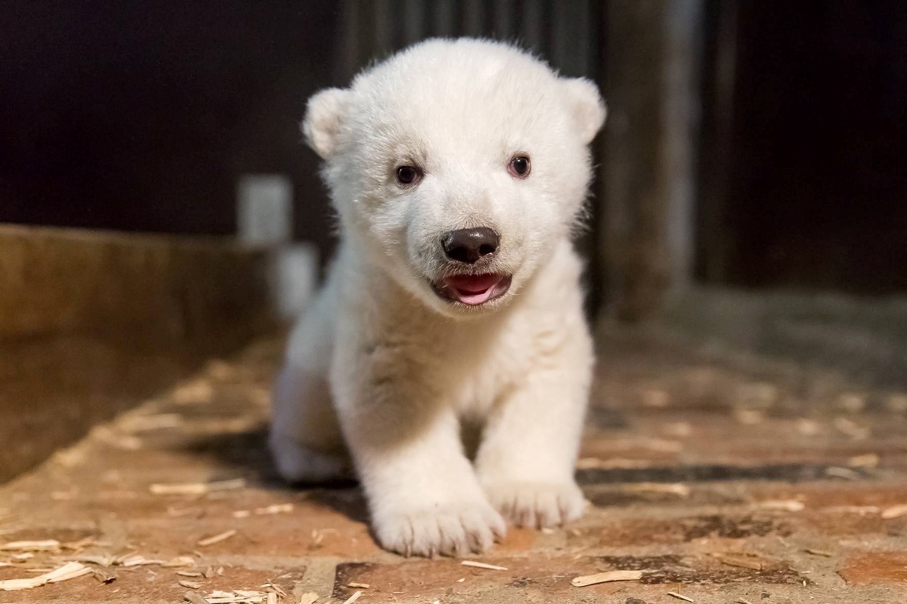 Hallo, ich bin Fritz!