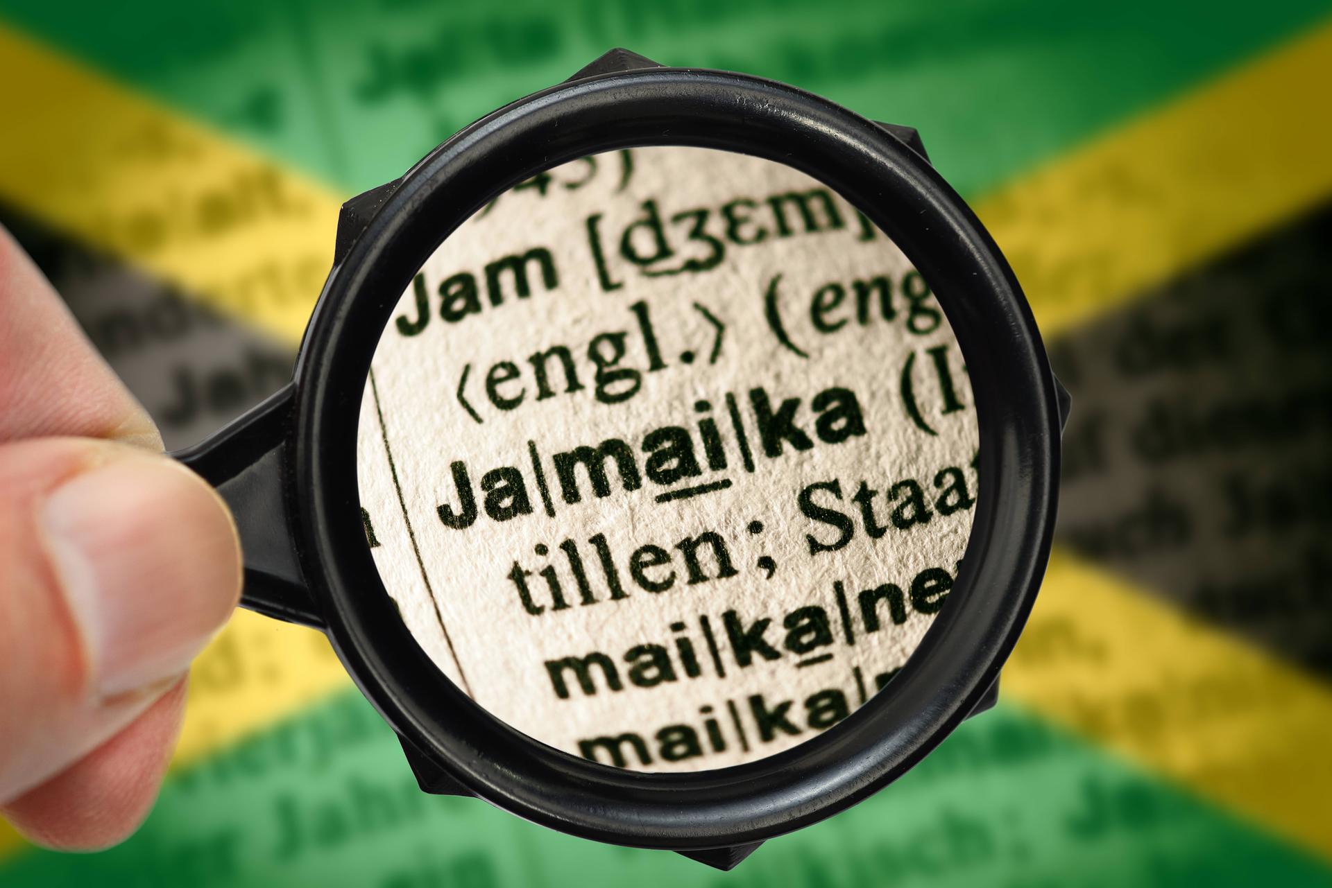 Image - Mensch Meyer!: Warum wir bald in Jamaika wohnen!