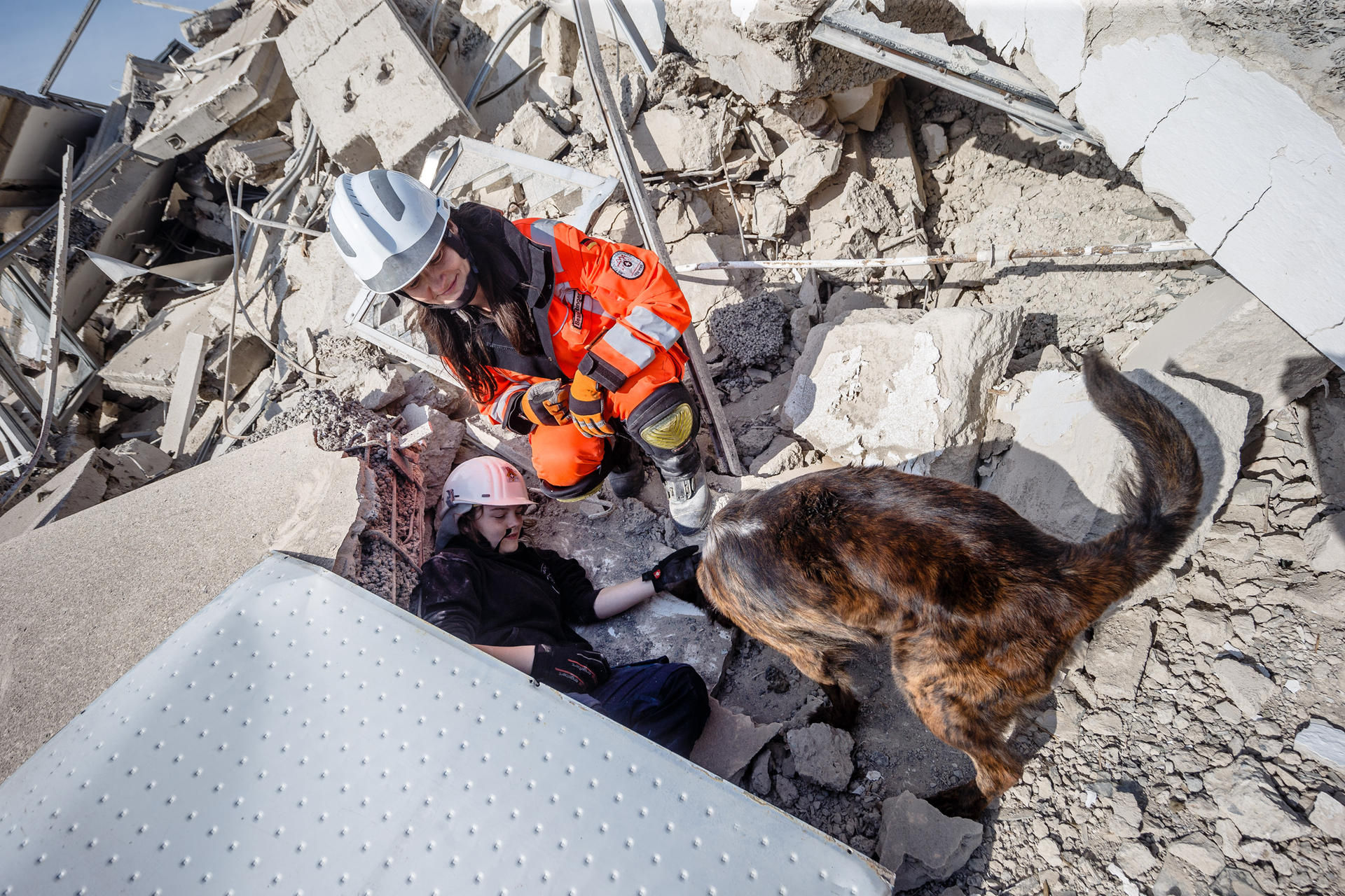 Image - Nach Sprengung des Müritz-Hotels in Klink: Schnüffeltraining im Trümmerfeld