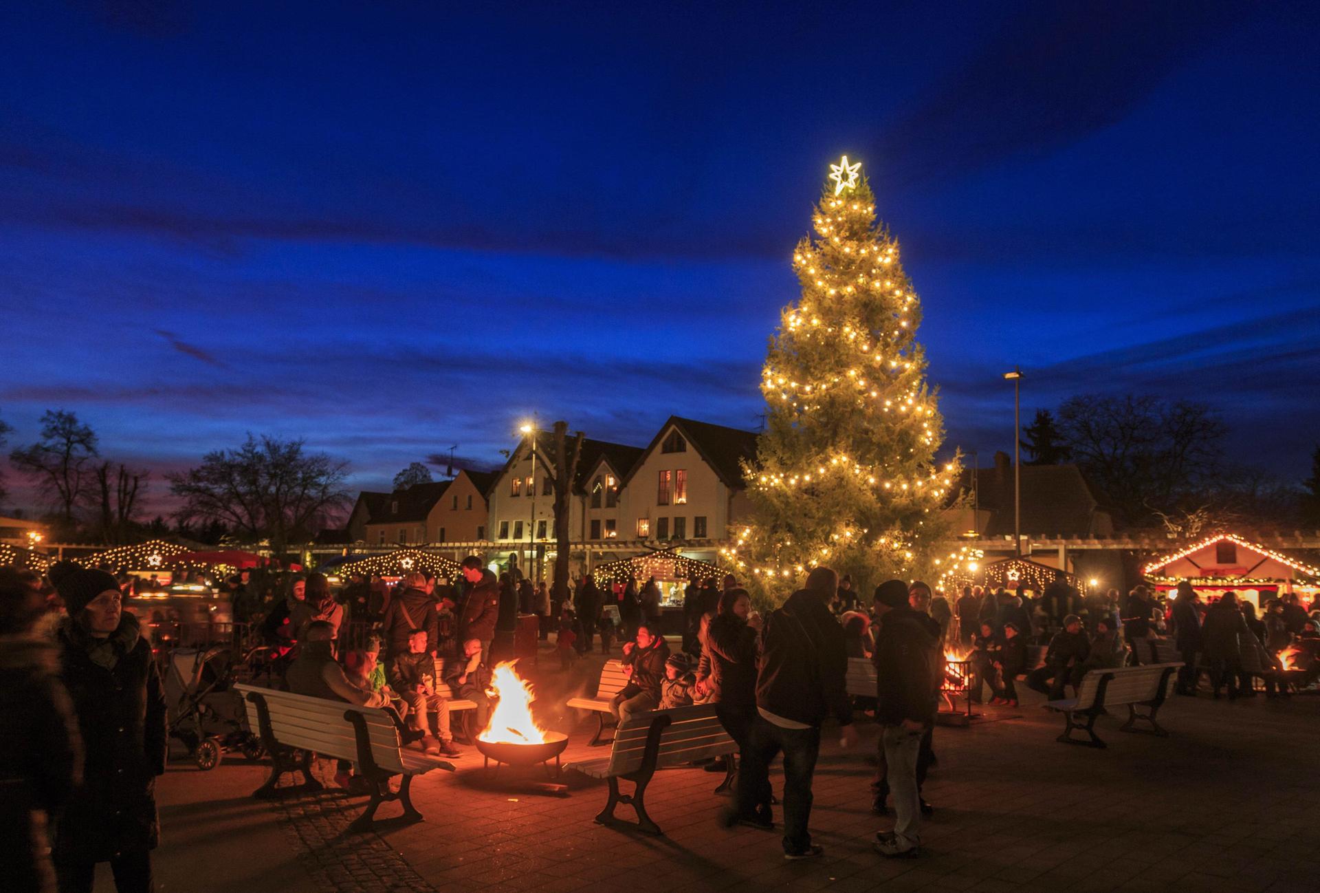 Weihnachtsmärkte in Brandenburg: Hier gibt es die schönsten 