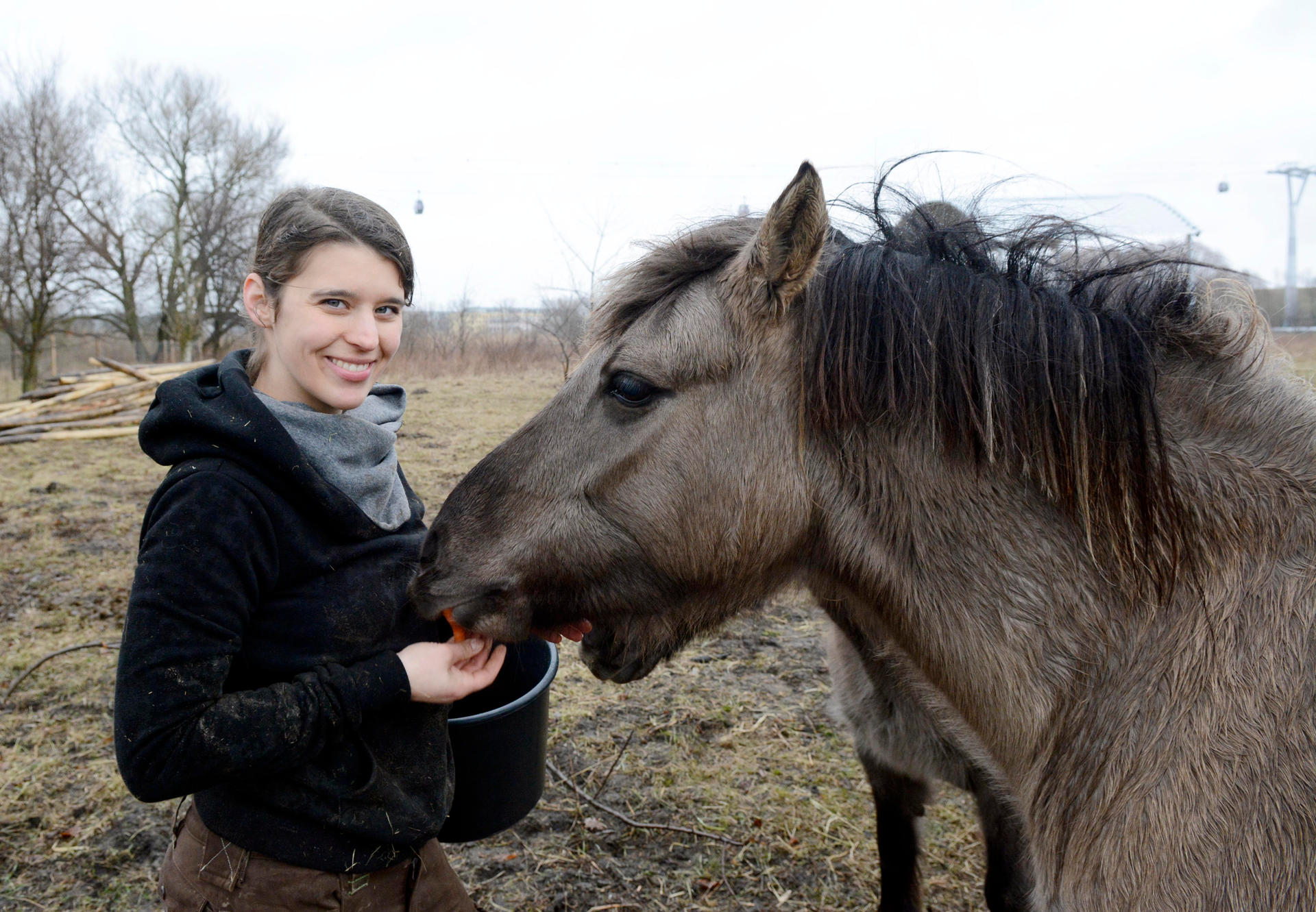 Image - XXL-Gartenschau in Berlin-Marzahn: Vorbereitung zur IGA laufen auf Hochtouren