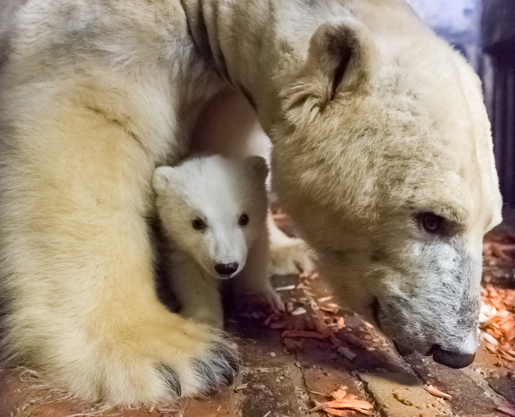 Fritz und Mama Tonja.