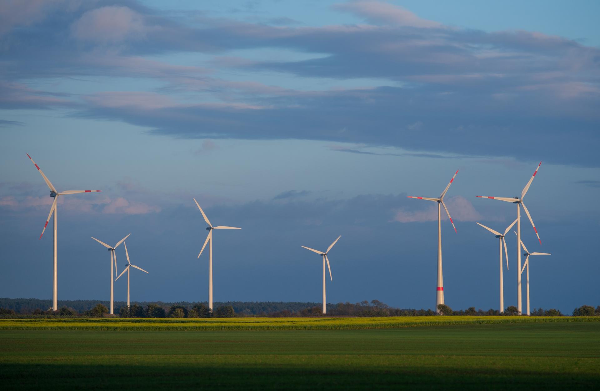 Image - Teure Energie: Stromkunden zahlen mehr als 35 Milliarden Steuern und Umlagen