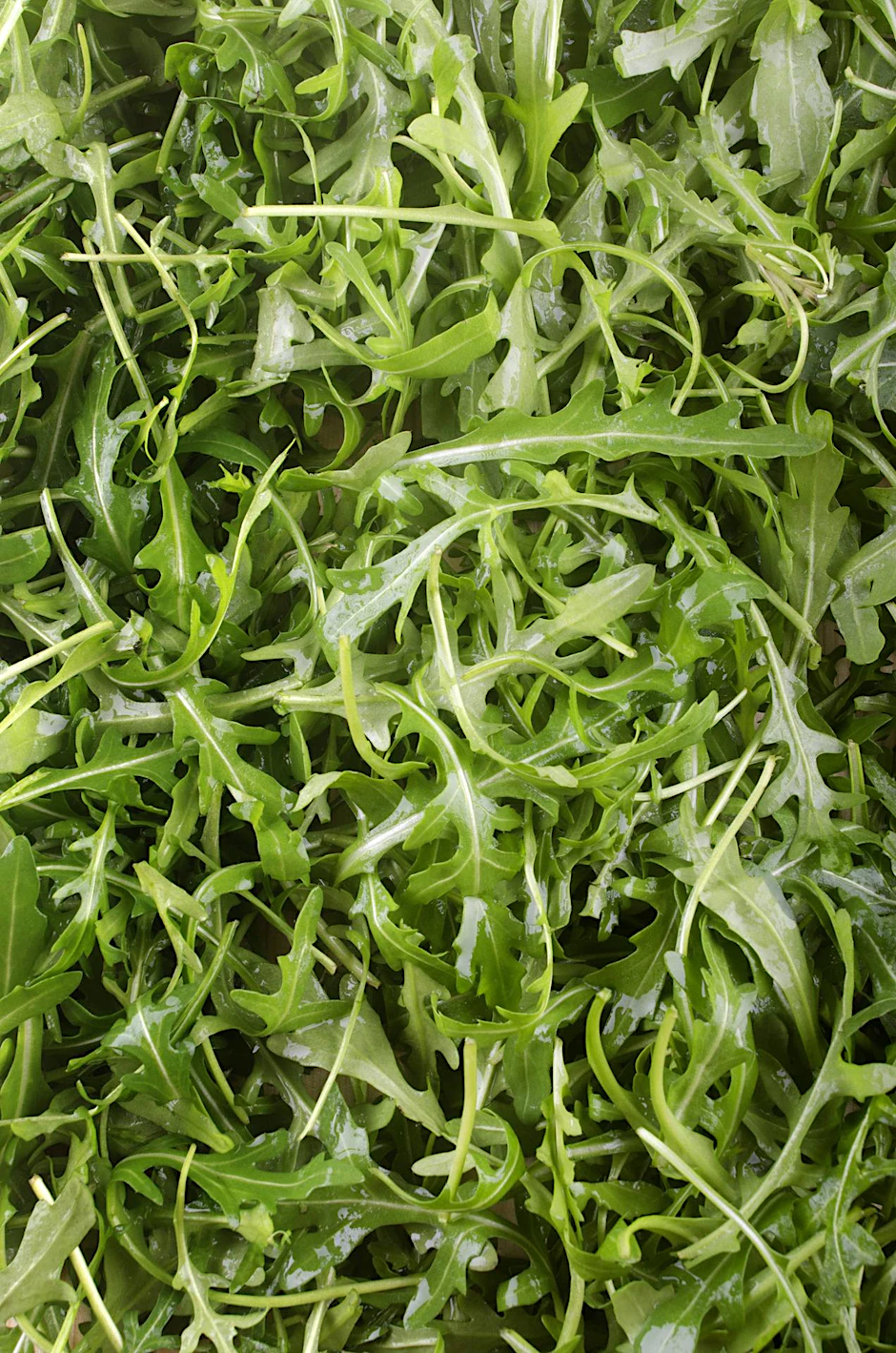 Rucola, früher Rauke genannt, ist beliebt. Nach den Ergebnissen von Stiftung Warentest sollte man aber besser keine großen Mengen davon essen.
