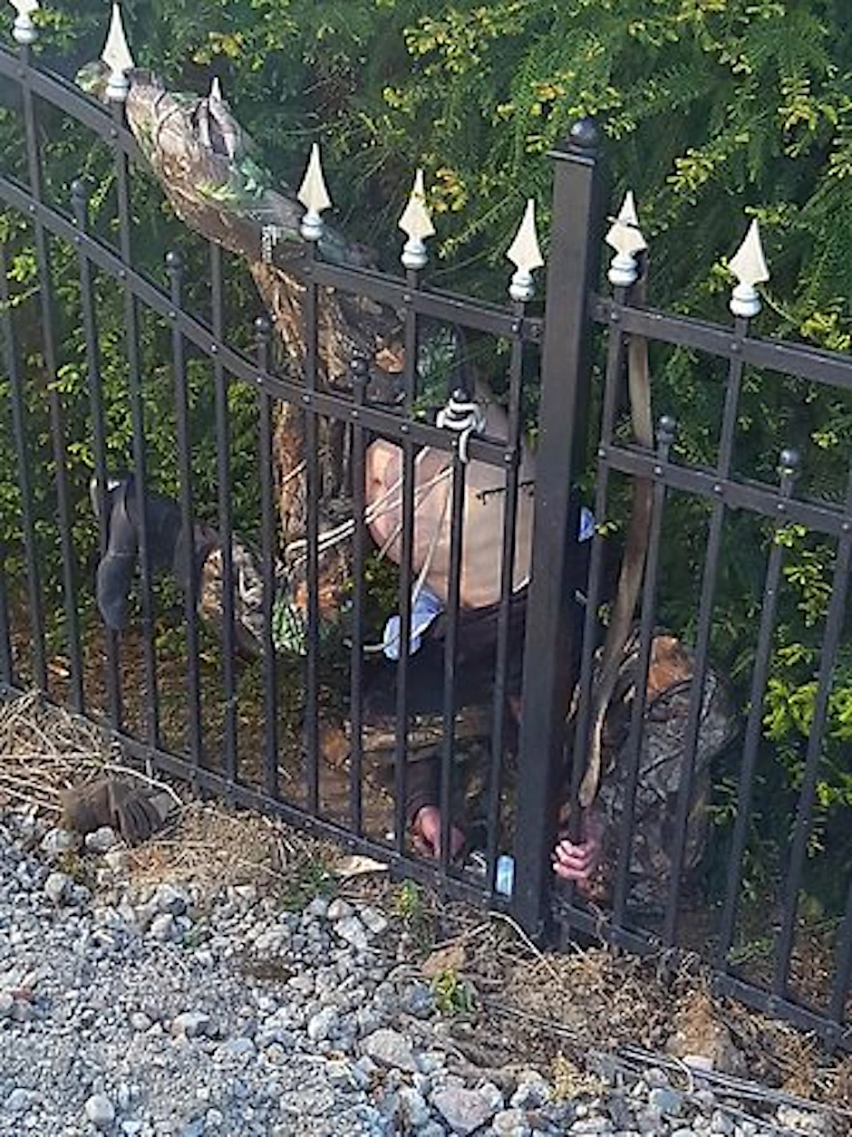 Aua! Das Bein ist am Gartenzaun aufgespießt, mit einem Seil und einem Gürtel versuchte der Stalker sich offenbar noch hochzuziehen – vergeblich.