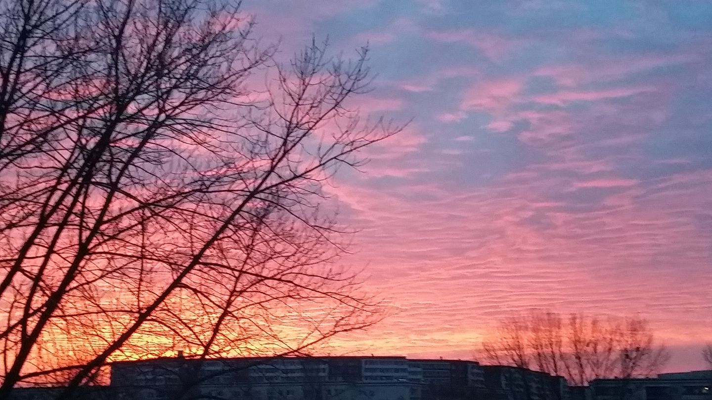 So schön war der Sonnenaufgang über Berlin am Mittwoch, dem 15. März 2017. Wir haben Fotos unserer Leser gesammelt. Facebook-Nutzerin Petra K. grüßt aus Marzahn.