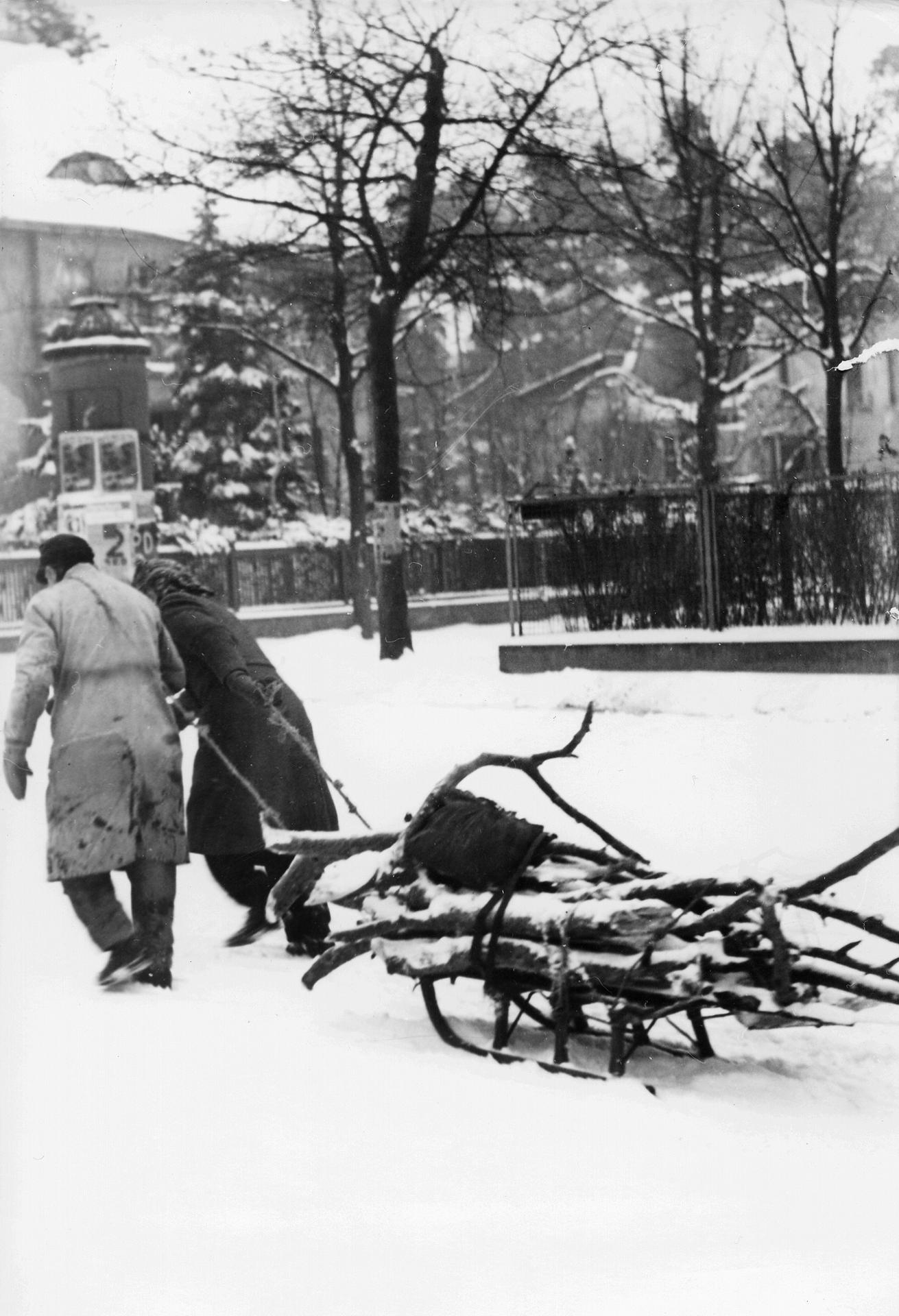 Als dieses Foto Anfang Februar 1947 im Grunewald gemacht wird, ahnt niemand, dass der Winter noch weitere eineinhalb Monate andauern wird. Der Mangel an Kohlen treibt die Berliner in die Forste, wo sie sich Brennholz beschaffen. Im Frühjahr 1947 wird nur noch die Hälfte aller Bäume stehen.