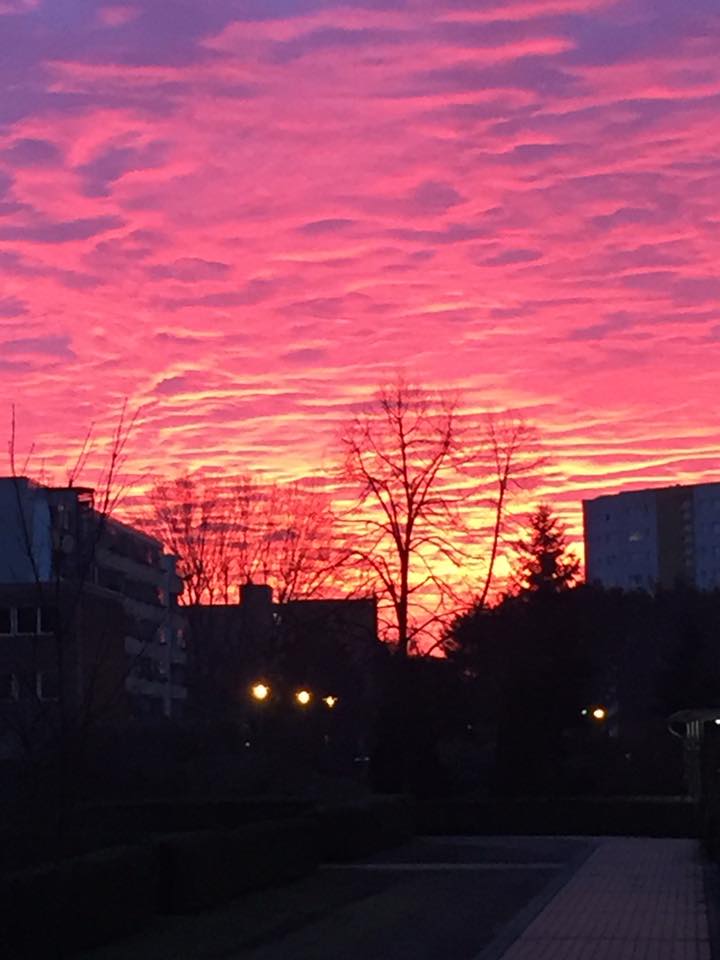 Keine schlechten Aussichten für Facebook-Nutzerin Regina N. aus Köpenick.