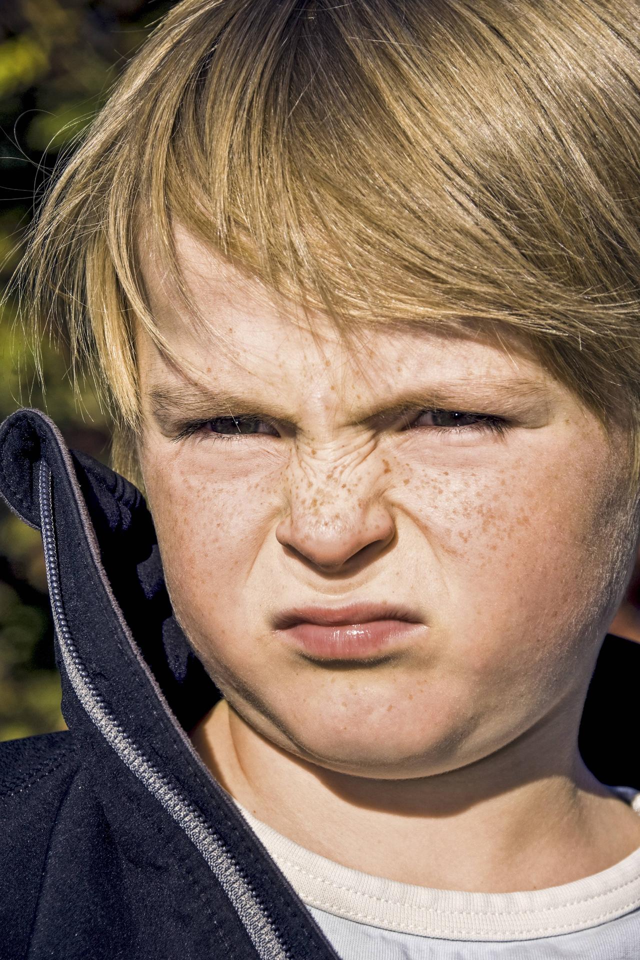 Image - Rund, stupsig, schmal oder breit: Nasen sind so vielfältig wie die Menschen