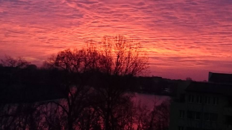 Diesen Ausblick konnte Dennis S. am Mittwochmorgen genießen.