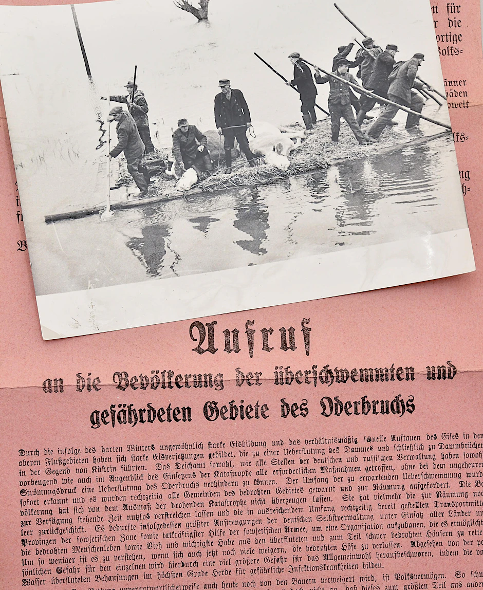 Historisches Dokument: Foto vom Oderhochwasser.