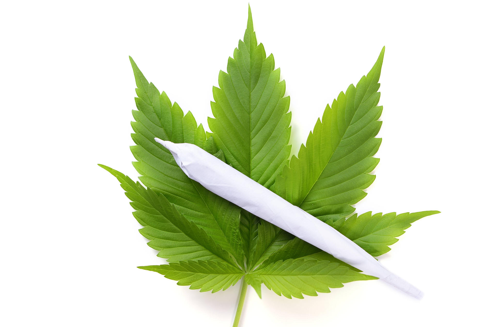 Image - Gesucht: 25.000 Kiffer aus Berlin für die Forschung