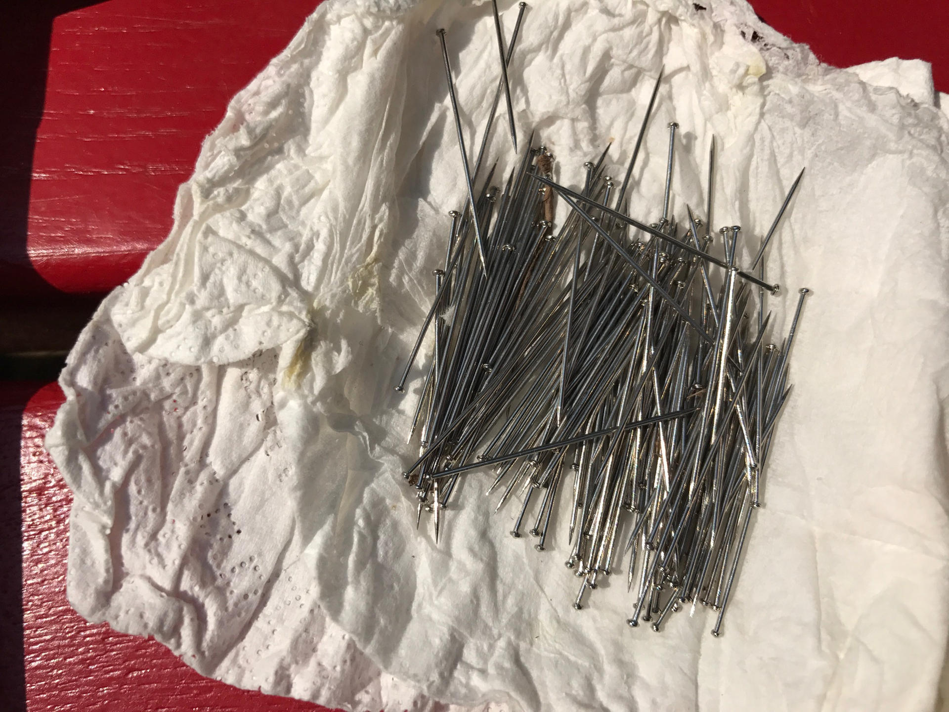 Diese Nadeln entdeckten Anwohner im Sandkasten.