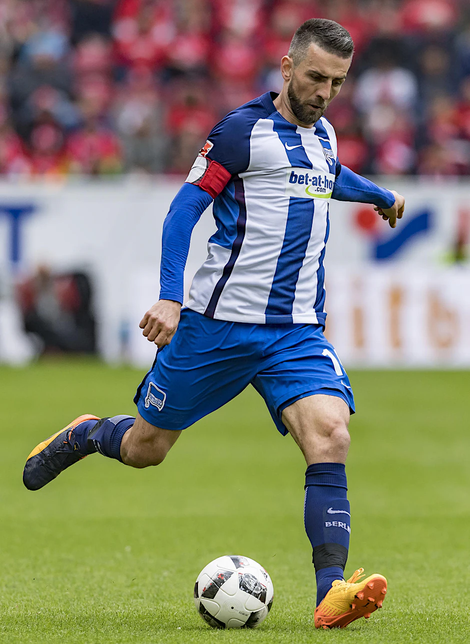 Ibisevic schoss 12 Tore und sorgte als Mentor für Zusammenhalt.