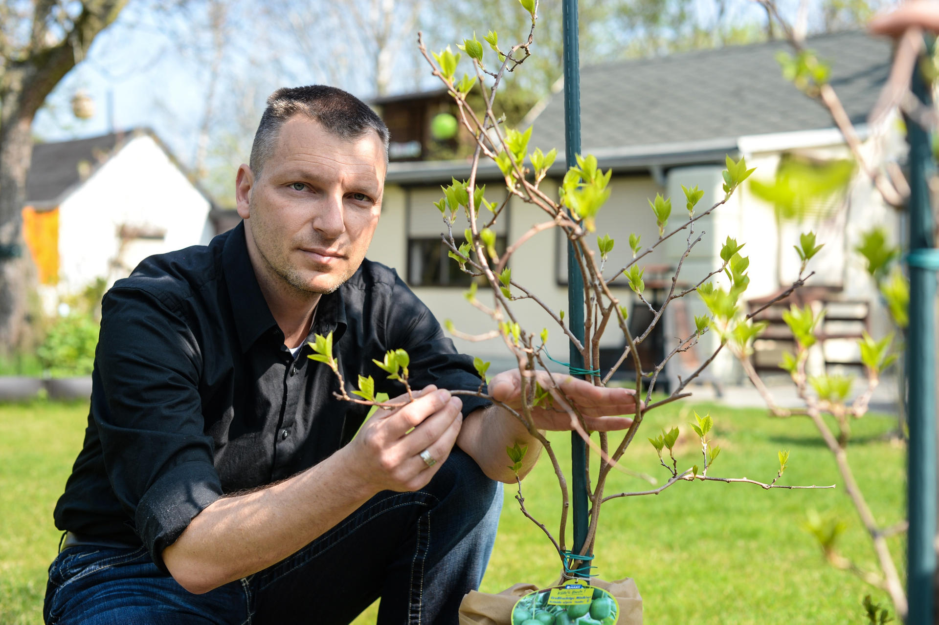 Die Angst der Berliner Laubenpieper: Werden 3000 Kleingärten umgepflügt?