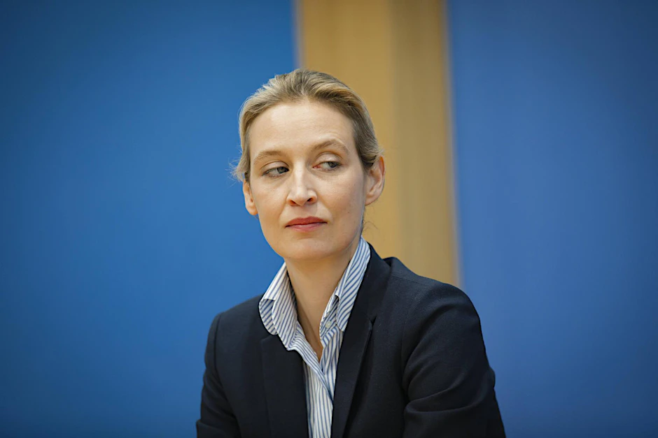 Die neue Spitzenkandidatin Alice Weidel.