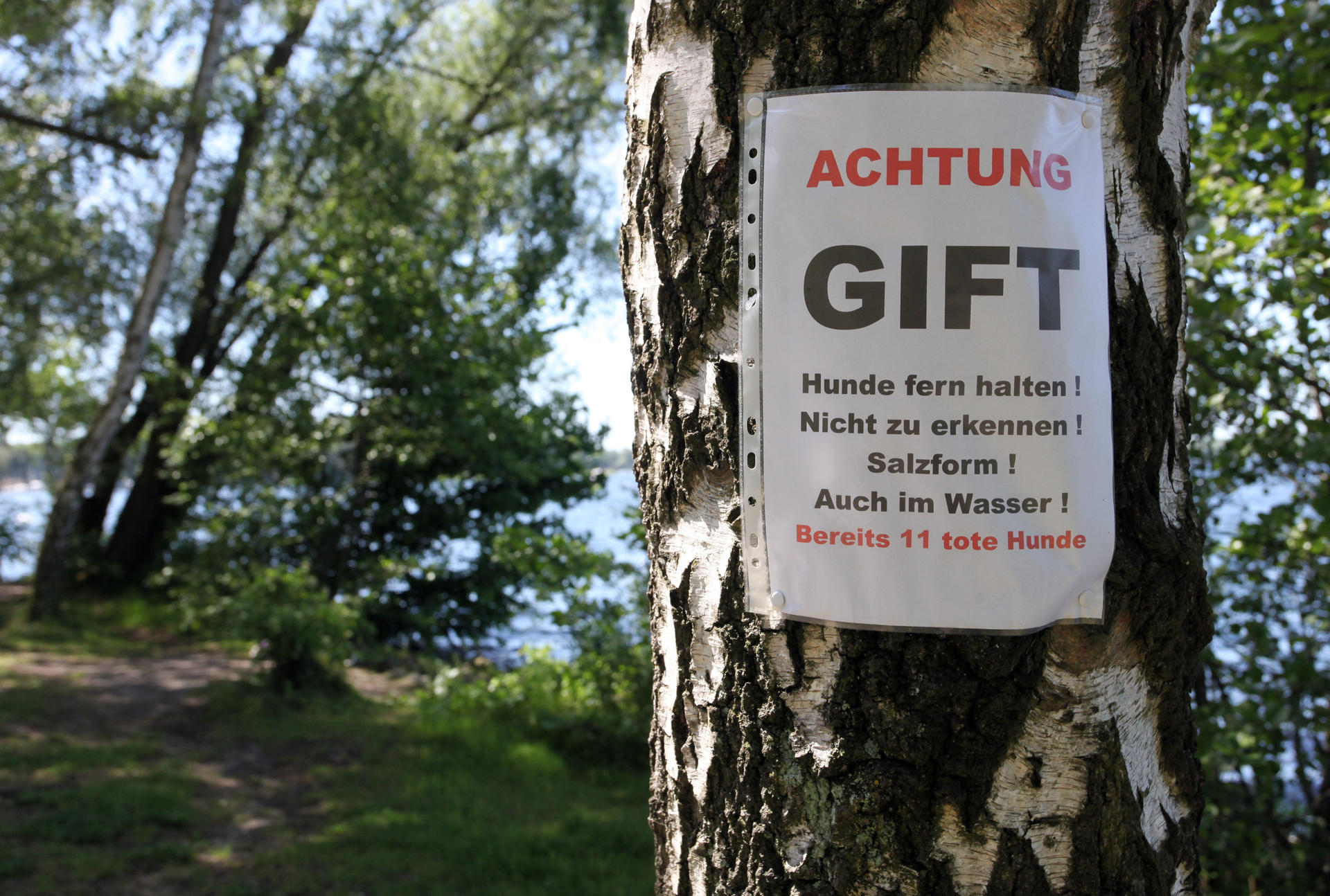 Überall um den See hängen diese Warn-Meldungen.
