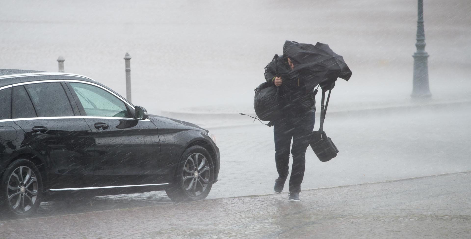 Image - Unwetterfront erfasst Berlin und Brandenburg: Es bleibt ungemütlich