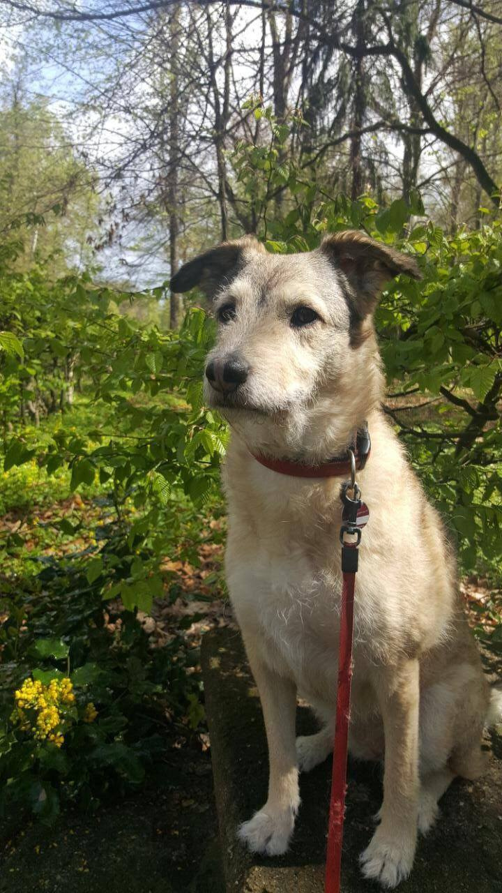 Tinka war gerade acht Jahre alt, brach nach dem Spielen am Tegeler See plötzlich zusammen und starb.