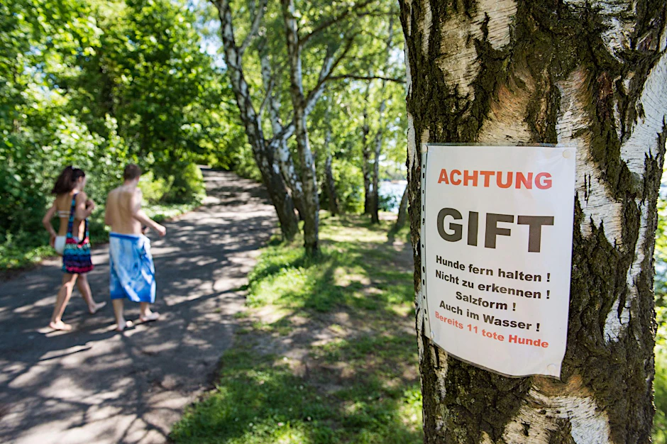Schild, welches von Unbekannten an einem Baum angebracht wurde, wird vor Gift gewarnt, an dem mehrere Hunde im Umkreis des Tegeler Sees gestorben sind. jetzt werden Blaualgen als Todesursache vermutet.
