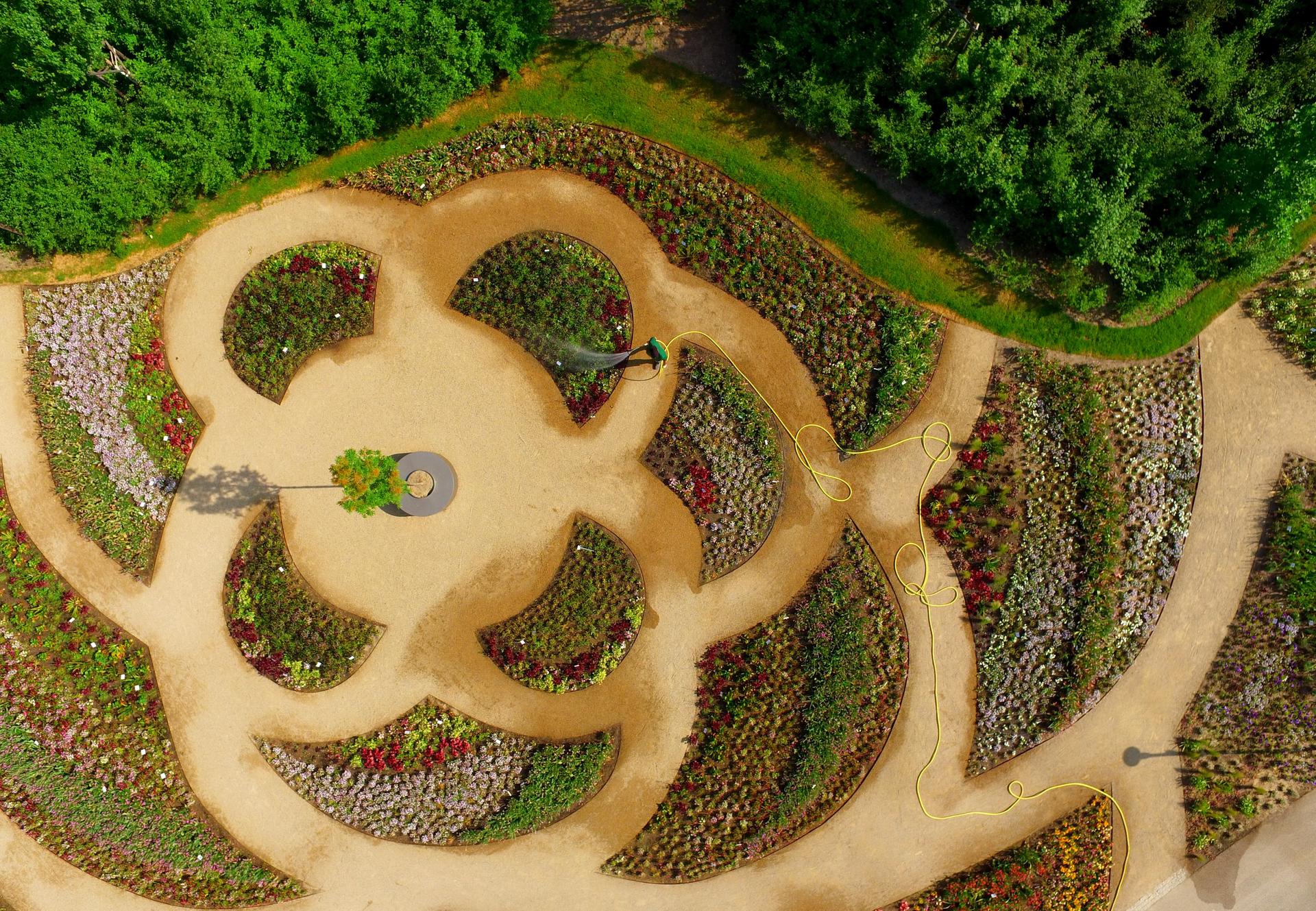 Der Dahliengarten in seiner vollen Pracht.