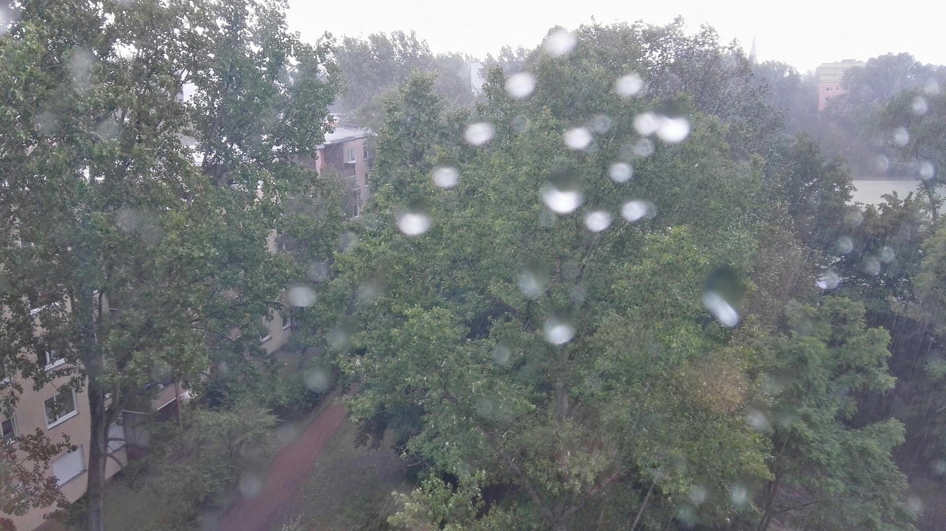 Blick am Mittwochvormittag aus dem Redaktionsfenster: Schauer verhageln uns den Frühsommer.