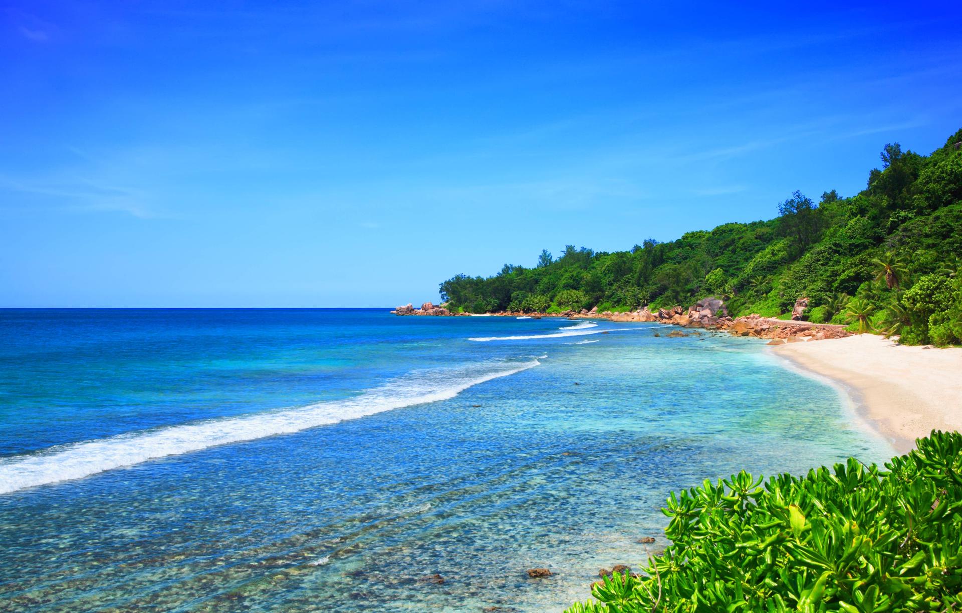 Image - Hochzeitsreise in den Tod: Seychellen: Deutscher Tourist stirbt vor den Augen seiner Frau