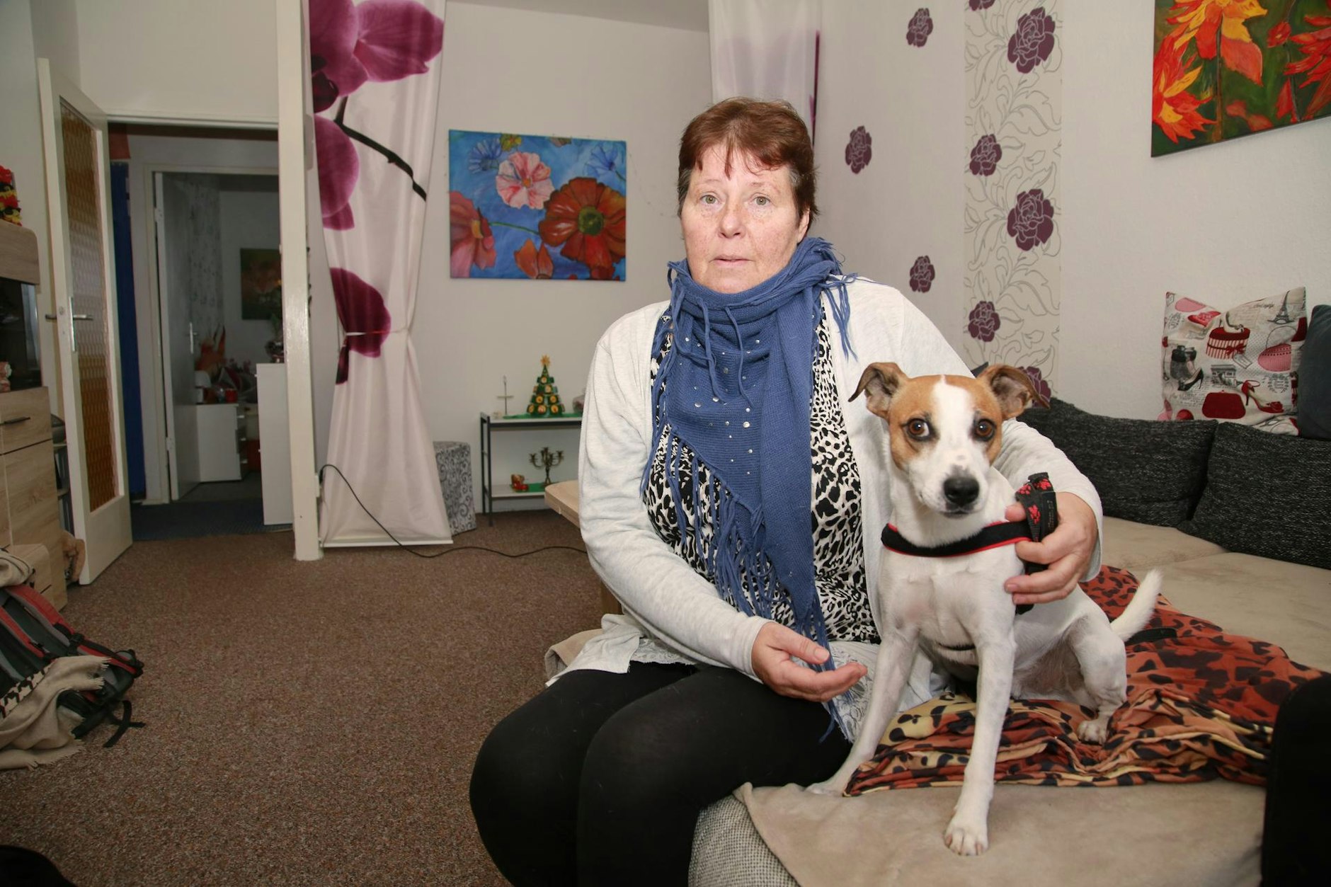 Hund Zu Warm In Der Wohnung Deutsche Wohnen: Heizungsausfall - Mieter zittern und glühen vor Wut