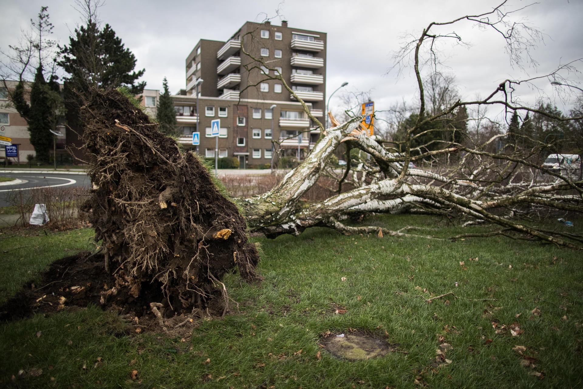Image - Wetterexperte kritisiert Behörden: Schüler im Orkan Friederike nach Hause geschickt, Jobcenter in Brandenburg dicht