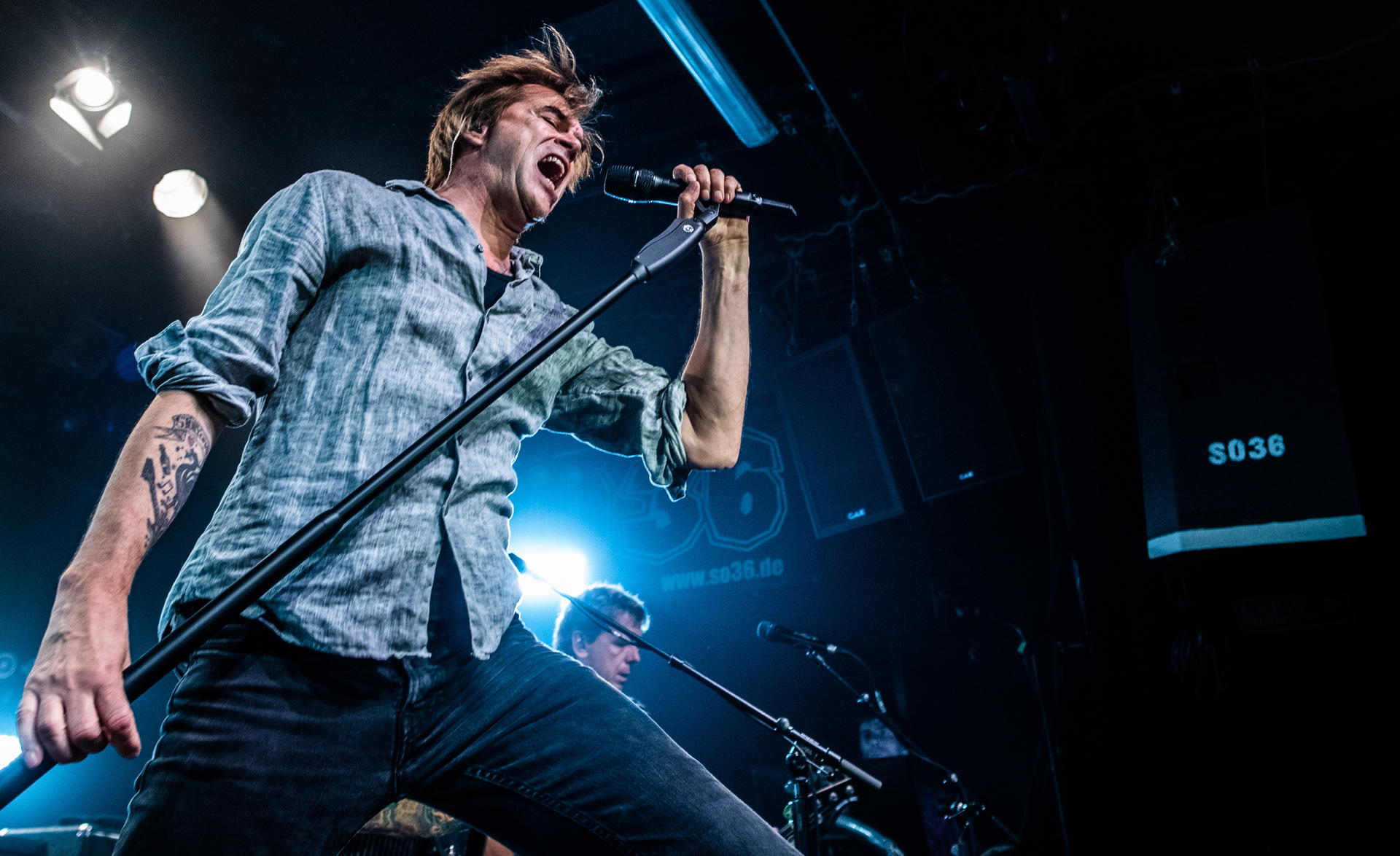 Image - Die Toten Hosen im SO36: Stagediving und fliegende Bierbecher